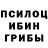 Галлюциногенные грибы Cubensis KSosnovskiy