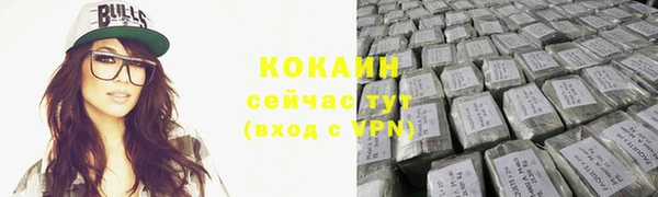 apvp Инсар