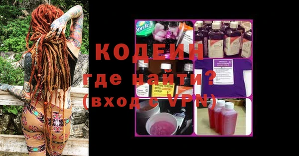 apvp Инсар