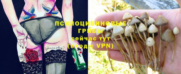 мяу мяу мука Иннополис