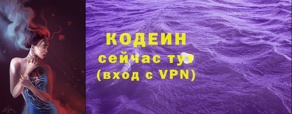 мяу мяу мука Иннополис