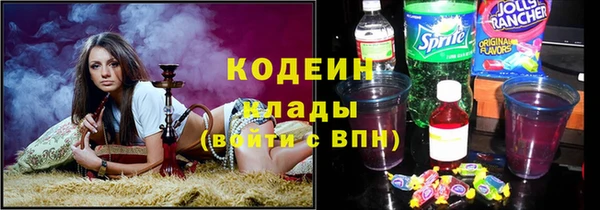 apvp Инсар