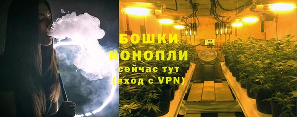 мяу мяу мука Иннополис