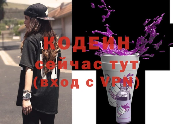мяу мяу мука Иннополис