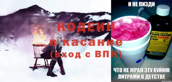 apvp Инсар
