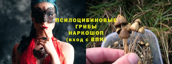 мяу мяу мука Иннополис