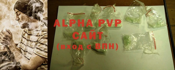 apvp Инсар