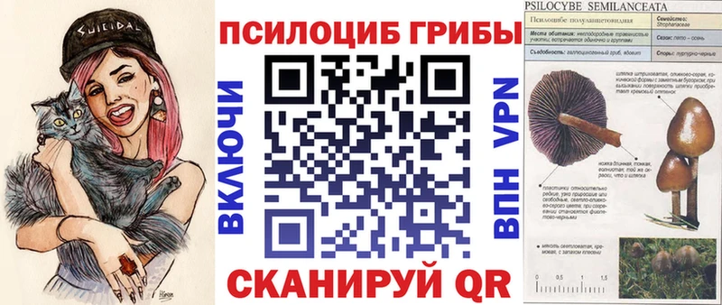 Галлюциногенные грибы Cubensis  Купить где  Партизанск 